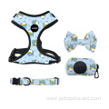 Dog harness Collar and Leash for small dog